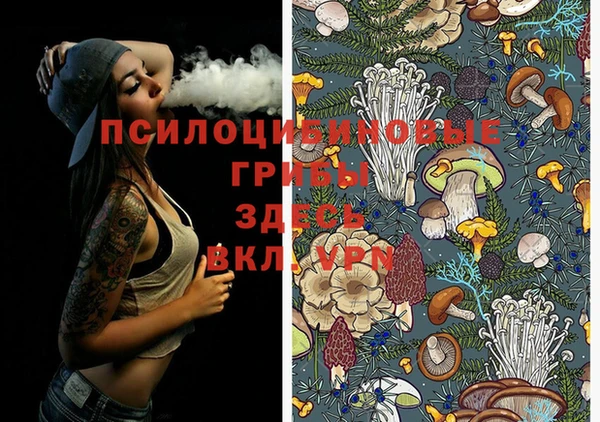 гашик Нефтегорск
