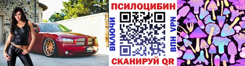 Купить  Староминская  Псилоцибиновые грибы Magic Shrooms 